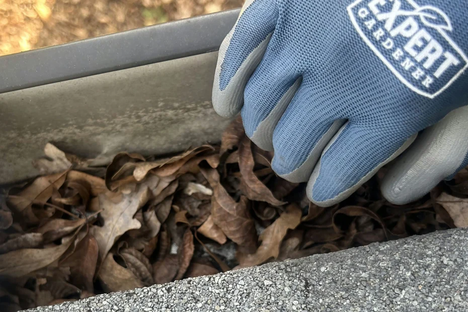 Gutter Cleaning Little River