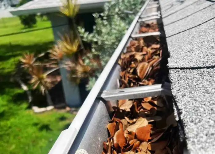 Gutter Cleaning Little River home page